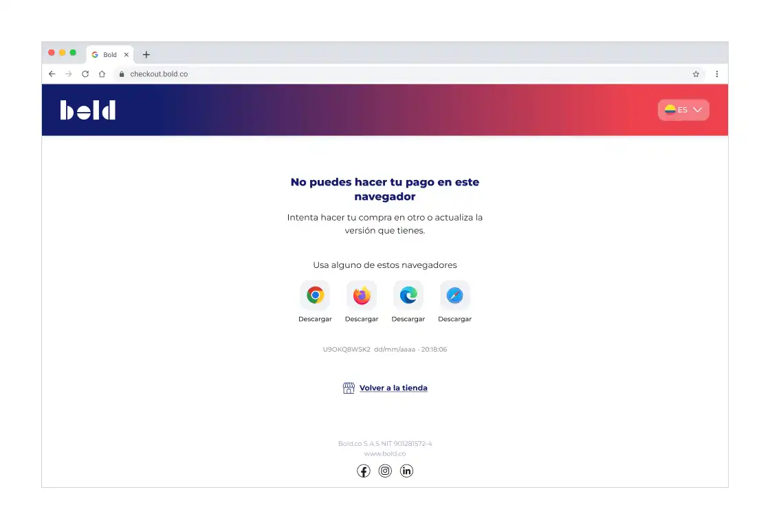 Checkout payment error